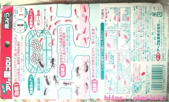 本当に巣ごと全滅なのか？スーパーアリの巣コロリを１週間置いた結果。