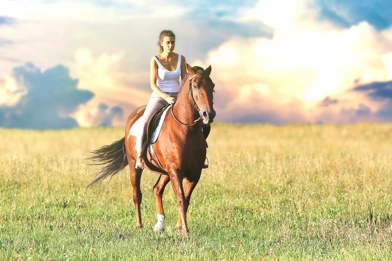 乗馬を楽しむ美少女。