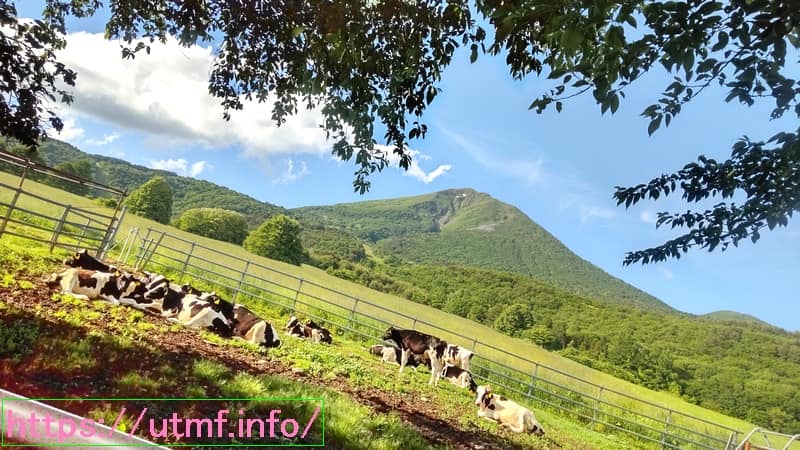 町営磐梯山牧場